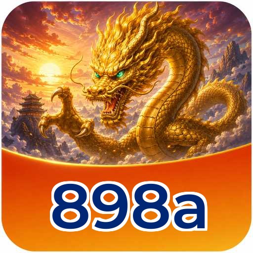 898a Technical Info